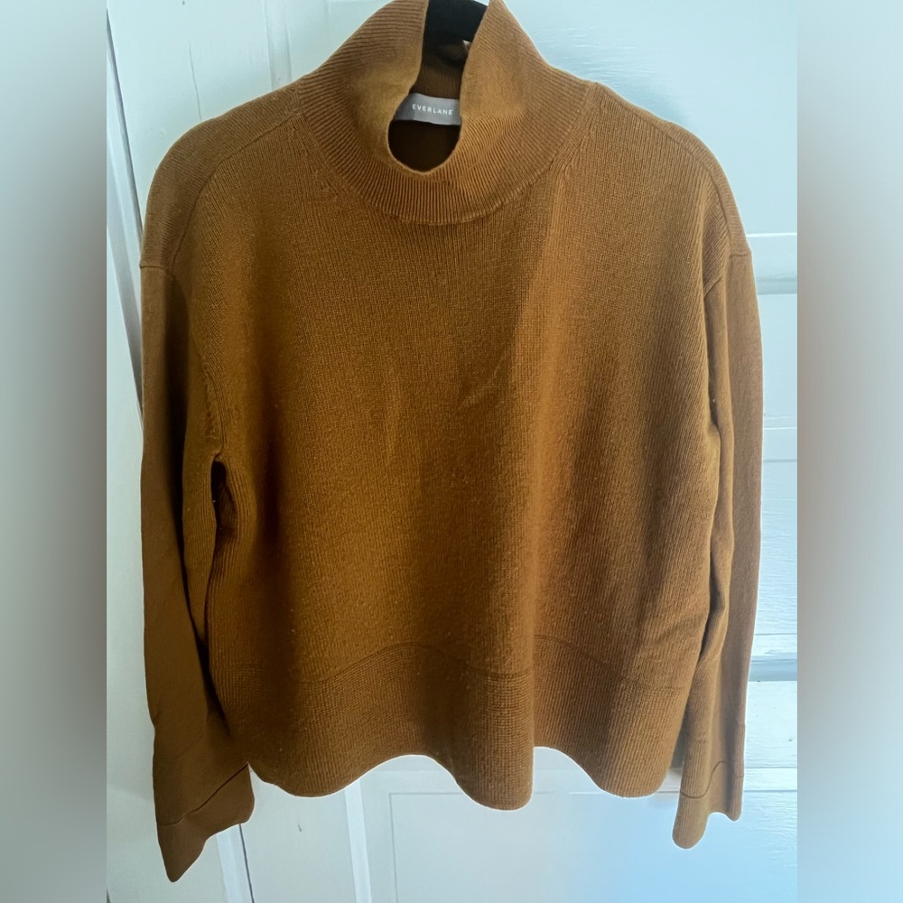 Everlane cashmere square turtleneck